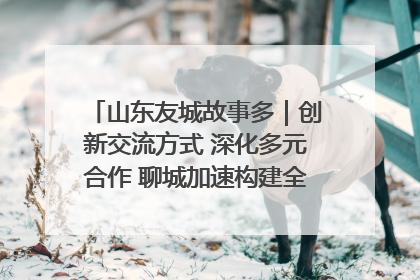 山东友城故事多｜创新交流方式 深化多元合作 聊城加速构建全球友城新格局