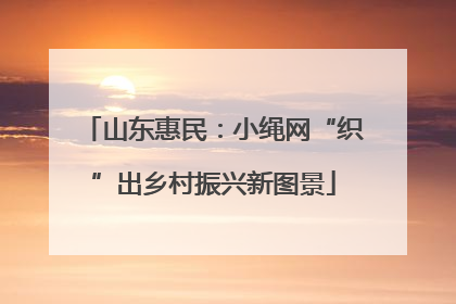 山东惠民：小绳网“织”出乡村振兴新图景