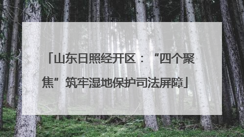 山东日照经开区：“四个聚焦”筑牢湿地保护司法屏障