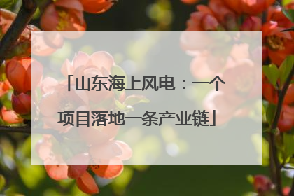 山东海上风电：一个项目落地一条产业链