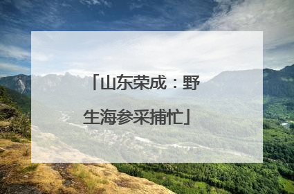 山东荣成：野生海参采捕忙