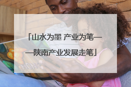 山水为墨 产业为笔——陕南产业发展走笔