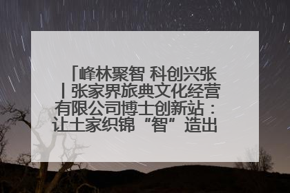 峰林聚智 科创兴张丨张家界旅典文化经营有限公司博士创新站：让土家织锦“智”造出非遗新传奇