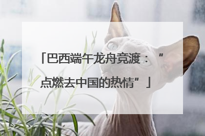 巴西端午龙舟竞渡：“点燃去中国的热情”