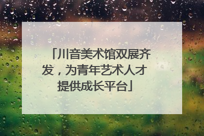 川音美术馆双展齐发，为青年艺术人才提供成长平台