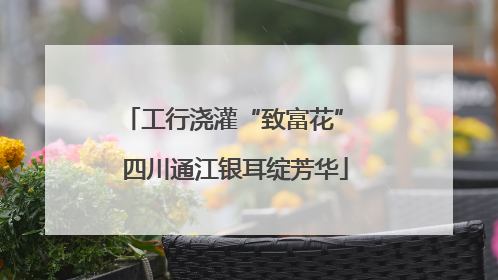 工行浇灌“致富花” 四川通江银耳绽芳华