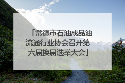 常德市石油成品油流通行业协会召开第六届换届选举大会