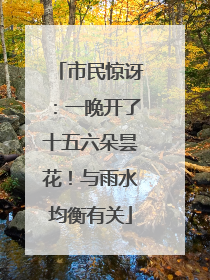 市民惊讶：一晚开了十五六朵昙花！与雨水均衡有关