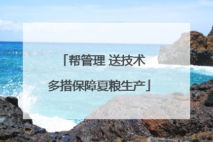 帮管理 送技术 多措保障夏粮生产