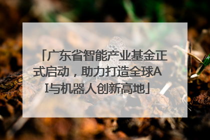 广东省智能产业基金正式启动，助力打造全球AI与机器人创新高地