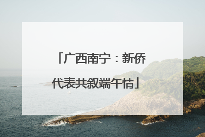 广西南宁：新侨代表共叙端午情