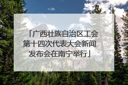 广西壮族自治区工会第十四次代表大会新闻发布会在南宁举行