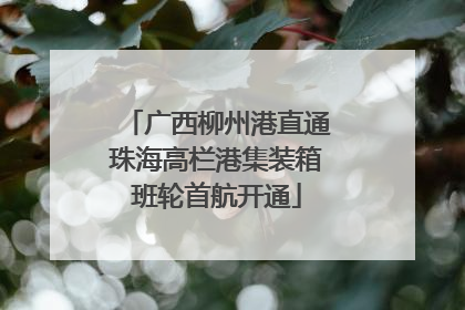 广西柳州港直通珠海高栏港集装箱班轮首航开通