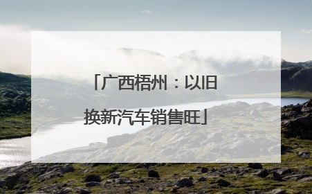 广西梧州：以旧换新汽车销售旺