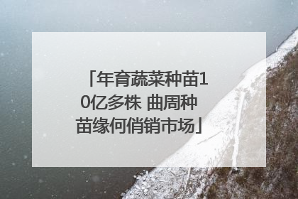 年育蔬菜种苗10亿多株 曲周种苗缘何俏销市场