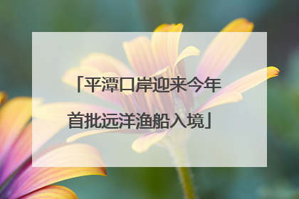 平潭口岸迎来今年首批远洋渔船入境