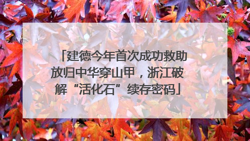 建德今年首次成功救助放归中华穿山甲，浙江破解“活化石”续存密码