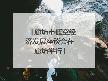 廊坊市低空经济发展座谈会在廊坊举行