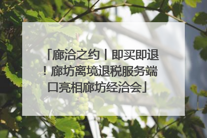 廊洽之约丨即买即退！廊坊离境退税服务端口亮相廊坊经洽会