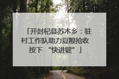 开封杞县苏木乡：驻村工作队助力夏粮抢收按下 “快进键”