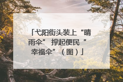 弋阳街头装上“晴雨伞” 撑起便民“幸福伞”（图）