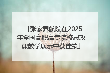张家界航院在2025年全国高职高专院校思政课教学展示中获佳绩