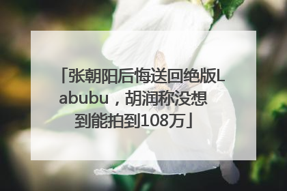 张朝阳后悔送回绝版Labubu，胡润称没想到能拍到108万
