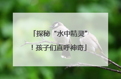 探秘“水中精灵”！孩子们直呼神奇