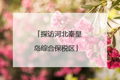 探访河北秦皇岛综合保税区