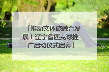 推动文体旅融合发展！辽宁省匹克球推广启动仪式启幕