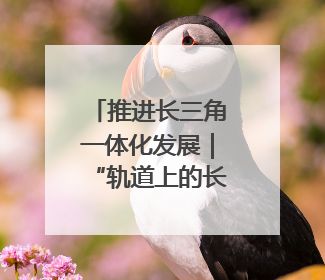 推进长三角一体化发展｜“轨道上的长三角”今年基本建成