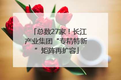 总数27家！长江产业集团“专精特新”矩阵再扩容