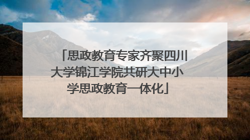 思政教育专家齐聚四川大学锦江学院共研大中小学思政教育一体化