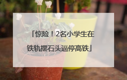 惊险！2名小学生在铁轨摆石头逼停高铁