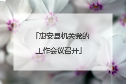 惠安县机关党的工作会议召开