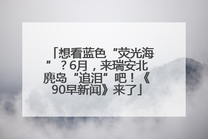 想看蓝色“荧光海”？6月，来瑞安北麂岛“追泪”吧！《90早新闻》来了