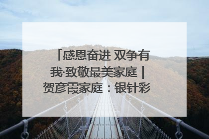 感恩奋进 双争有我·致敬最美家庭｜贺彦霞家庭：银针彩线绣出好日子