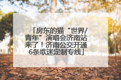 房东的猫“世界/青年”演唱会济南站来了！济南公交开通6条歌迷定制专线