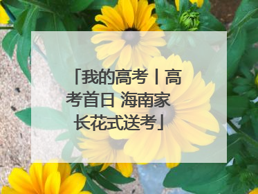 我的高考丨高考首日 海南家长花式送考