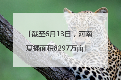 截至6月13日，河南夏播面积8297万亩