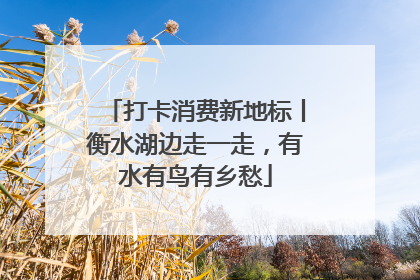 打卡消费新地标丨衡水湖边走一走，有水有鸟有乡愁