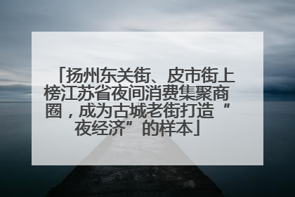 扬州东关街、皮市街上榜江苏省夜间消费集聚商圈，成为古城老街打造“夜经济”的样本