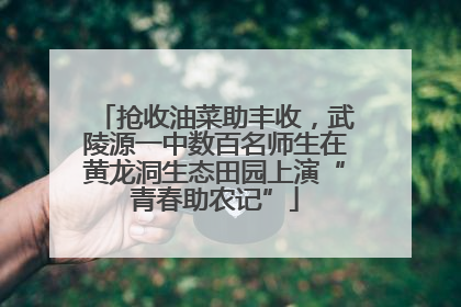抢收油菜助丰收，武陵源一中数百名师生在黄龙洞生态田园上演“青春助农记”