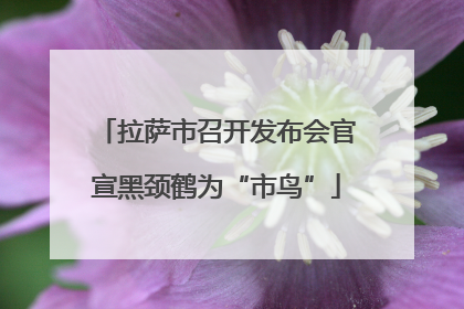 拉萨市召开发布会官宣黑颈鹤为“市鸟”