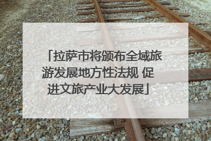 拉萨市将颁布全域旅游发展地方性法规 促进文旅产业大发展