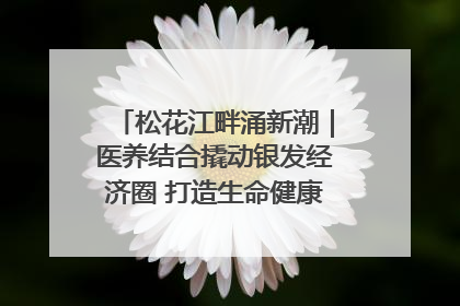 松花江畔涌新潮｜医养结合撬动银发经济圈 打造生命健康产业新样本