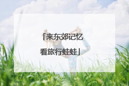 来东郊记忆 看旅行蛙蛙