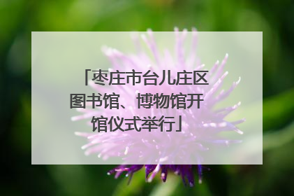 枣庄市台儿庄区图书馆、博物馆开馆仪式举行