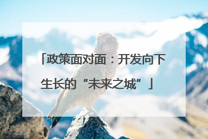 政策面对面：开发向下生长的“未来之城”