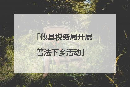 攸县税务局开展普法下乡活动